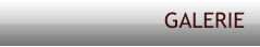 GALERIE