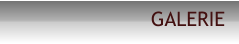 GALERIE